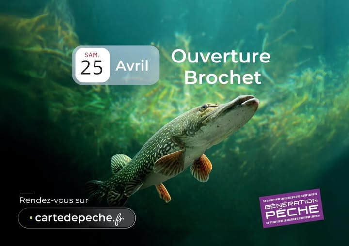 ouverture brochet 2025
